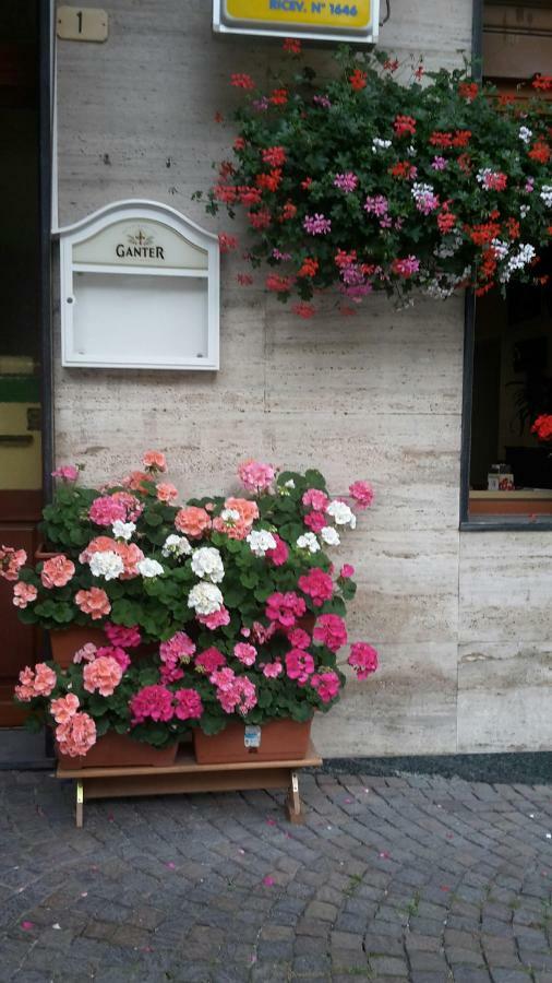 Albergo Ristorante Centro Vico Canavese Екстер'єр фото